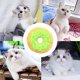 thumbnail image 5 of Juguete de gato de peluche con forma de dona y hierba gatera, almohada interactiva para gatos, regalo para gatos, 5 of 5