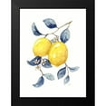 thumbnail image 2 of Nan 12x14 Black Modern Framed Museum Art Print Titled - Odyssey Lemons I, 2 of 5