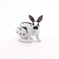 thumbnail image 2 of Papillon Rabbit, 2 of 6