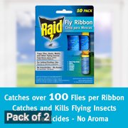 Raid Fly Ribbon Bug & Insect Catcher