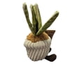 thumbnail image 4 of Greenhouse by Russ, Snake Plant, 6 inch succulent stuffed plush, 4 of 4