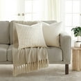 thumbnail image 3 of Cotton Slub Textured Throw Pillow in Framed Farmhouse Stripe by Comfort Canopy, 3 of 14