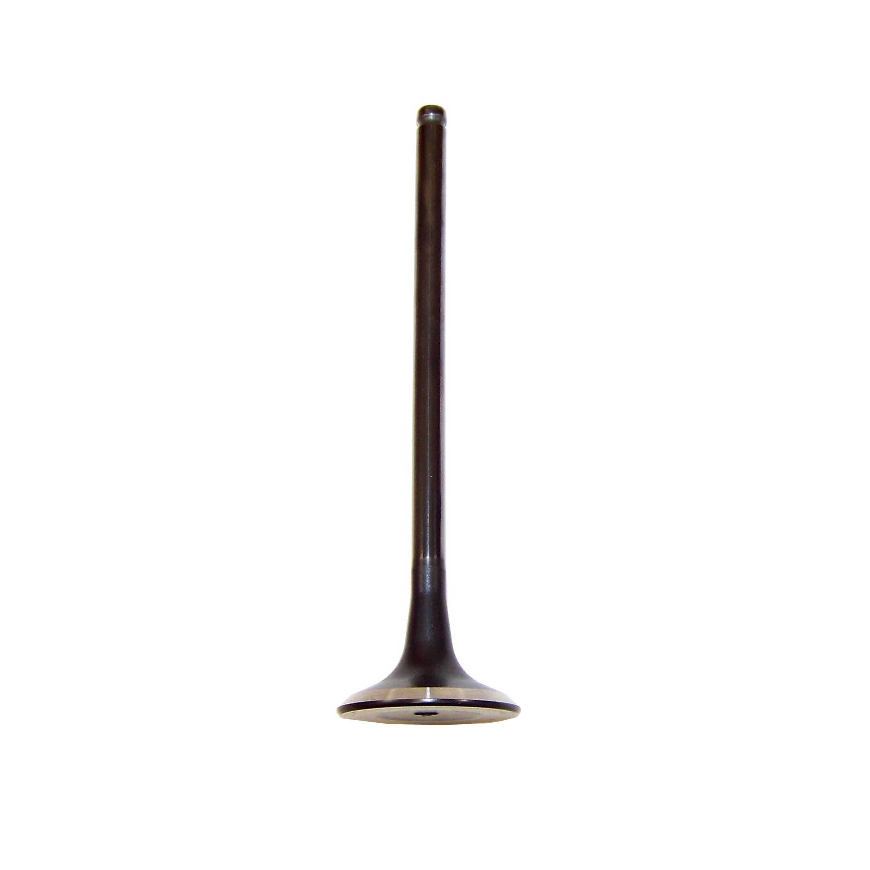 DNJ EV168 Engine Cylinder Head Valve Train Exhaust Valve