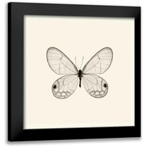 Van Swearingen, Debra 12x12 Black Modern Framed Museum Art Print Titled - Butterfly I BW Crop