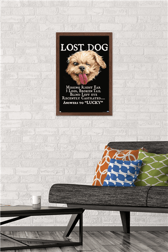 Jim Baldwin - Lost Dog Wall Poster, 14.725" x 22.375" Framed