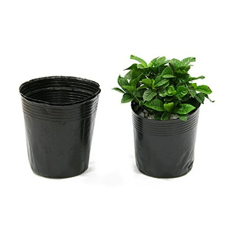 Mr Garden 100 Pcs Plastic Nursery Pots Soft Black Planter Nutrition Mr Garden 100 Pcs Plastic Nursery Pots Soft Black Planter Nutrition 8 3 Inch