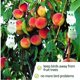 thumbnail image 3 of Repelente de palomas espantapájaros [repelente de pájaros espantapájaros] - Para repeler palomas cuervos y más - Para uso con ultrasonido/pico/red - Paquete de 8, 3 of 5