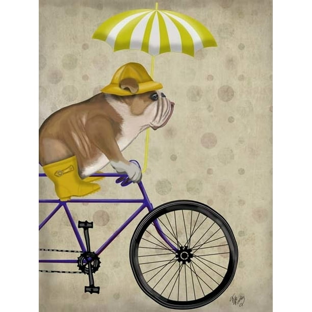 English Bulldog on Bicycle Poster Print by Fab Funky (13 x 19