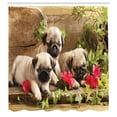 thumbnail image 3 of Ambesonne Pug Shower Curtain, Sibling Puppies Flowers, 69"Wx70"L, Fern Green Eggshell, 3 of 5