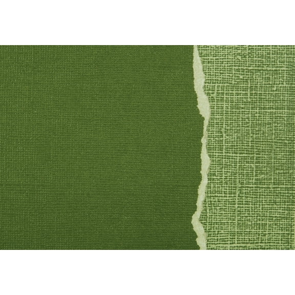 Core'dinations Sandable Cardstock 12"X12"-Forest