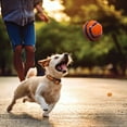 thumbnail image 3 of Nerf Dog Two-Tone TPR Spike Ball Dog Toy, Large, 3 of 6