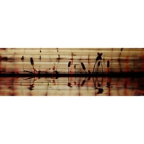 Parvez Taj Panoramic Reflection Pinewood Wall Art, 20" x 60"