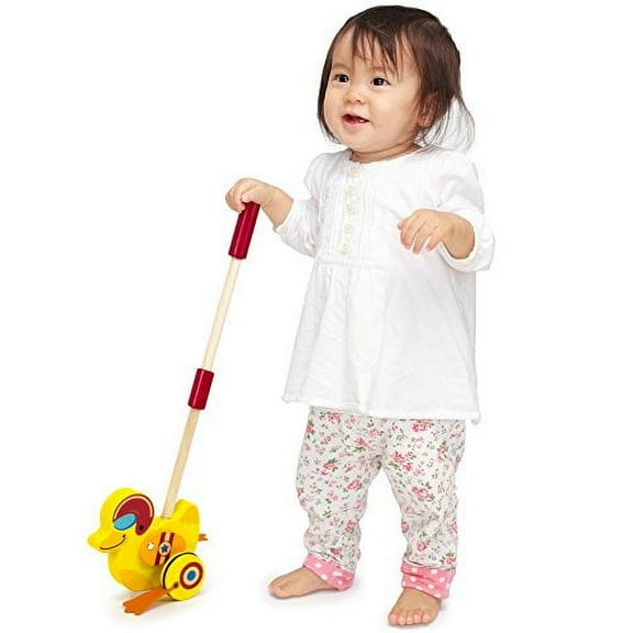 Imagination Radical Racers Top Duck Wooden Push-Along Walking Toy