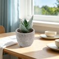 thumbnail image 2 of Small Fake Plants Realistic Lifelike Artificial Potted Succulents, Mini Durable Plastic 2.7x2.6x2.6 in with Pot Faux Plants for Home Office, Kitchen, and Indoor Table Decor, 2 of 6