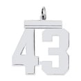 thumbnail image 3 of 925 Sterling Silver Large Polished Number 43 Charm Pendant, 3 of 5