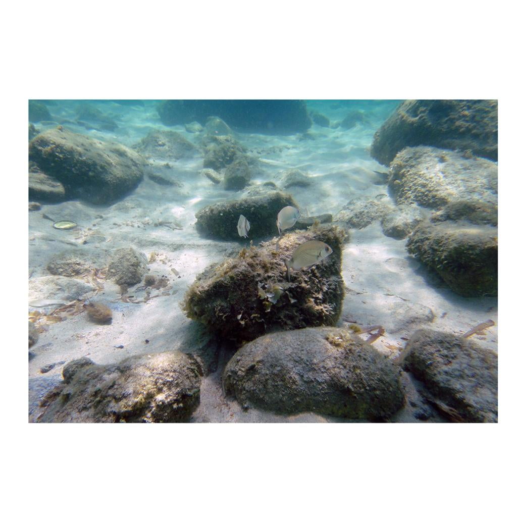 Vivarium Background Poster