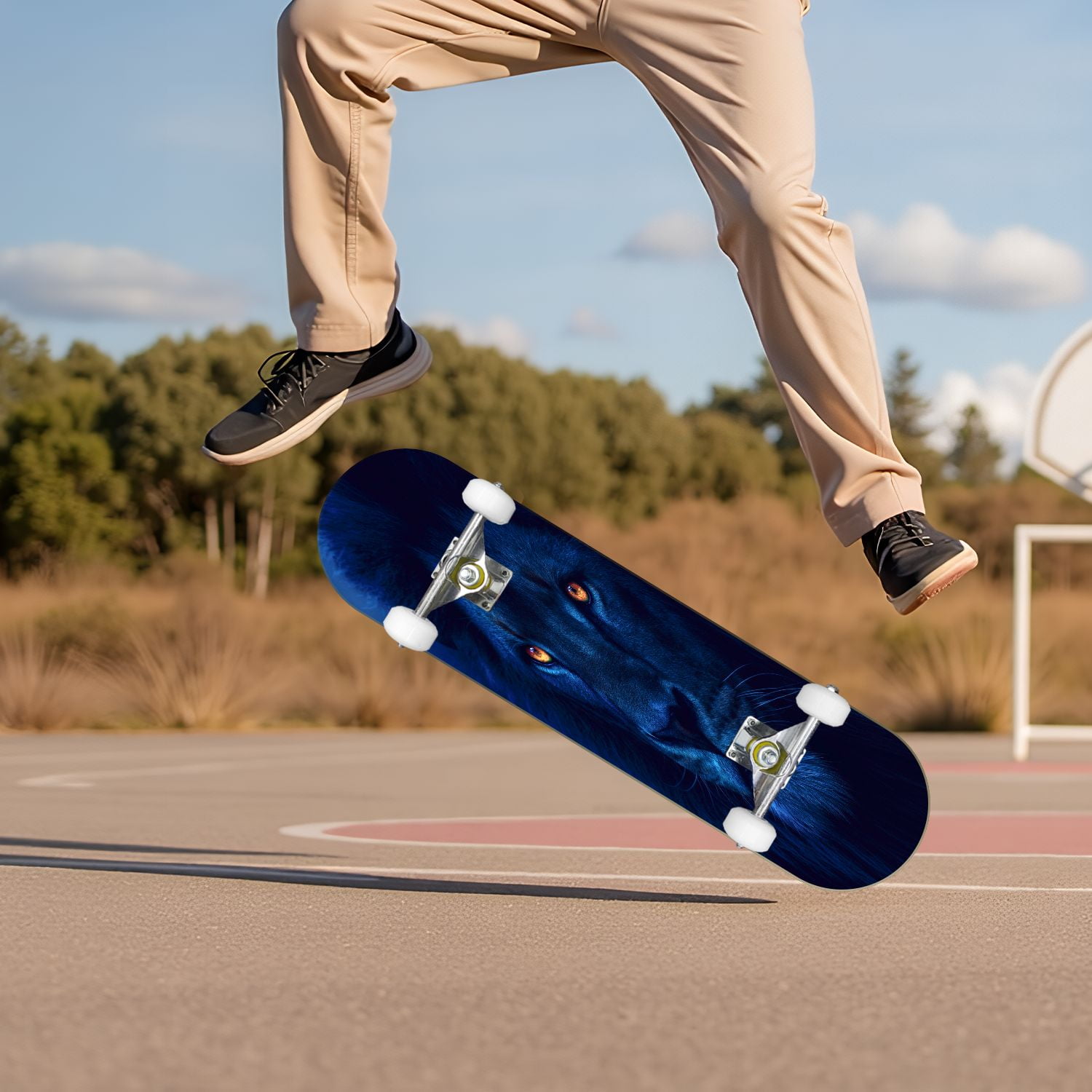 新品◆ELEMENT TULUM コンプリート◆8.25 Element Seal Complete Skateboard - Assorted - 8.25 - Walmart.com