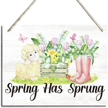 Spring Wall Decor, Decorative Hanging Wood Signs, Floral Seasonal Decor, Spring Decor Art, Farmhouse Decor for Front Door Porch, Home Decor for Spring Season, Spring Has Sprung Signs Decor