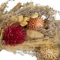 thumbnail image 5 of Northlight Pampas Grass and Dried Florals Small Fall Harvest Wreath - 10", 5 of 8