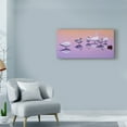 thumbnail image 3 of Trademark Fine Art 'Odd Man Out Seagulls' Canvas Art by Julie T. Chapman, 3 of 4
