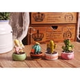 thumbnail image 5 of WHAMVOX Succulent Plants Microlandschaft Memo Clips Message Photo Holder Stand (Cactus ), 5 of 8