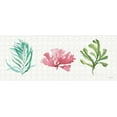 thumbnail image 2 of Audit, Lisa 24x12 White Modern Wood Framed Museum Art Print Titled - Mixed Greens XXXI, 2 of 4