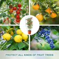 thumbnail image 3 of LLC Couvertures de Jardin en Maille Protectrice pour Tomates, Myrtilles, Insectes, Oiseaux (Lot de 3), 3 of 5
