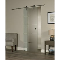 Pinecroft New Visions Contour Glass Barn Door For 36"wide x 80"high