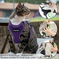 thumbnail image 2 of DMISOCHR Cat Harness and Leash Set Escape Proof Cat Vest Harness for Outdoor, 2 of 7