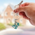 thumbnail image 5 of Hearth & Gear Durable Stainless Steel Keychain With Secure Locking Mechanism For Everyday Carry And Organization, 5 of 5