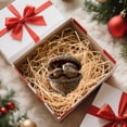 thumbnail image 7 of Forest Animal Acorn Ornaments – Cozy Forest Christmas Ornaments, 2D Acrylic Cute Forest Animal Christmas Trees Hanging Decor,Rustic Nature-Themed Home Decor, Animal Lovers Gift, 7 of 7