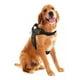 thumbnail image 1 of Arnes Para Perro Nylon Pechera Perro Grande / Mediano Comoda, 1 of 8