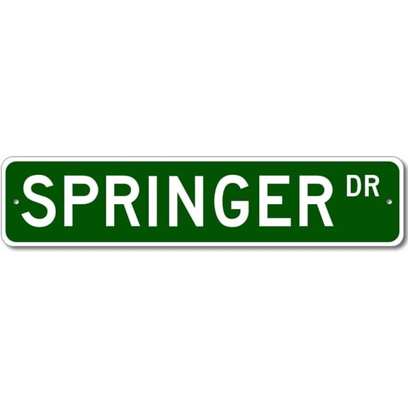 Personalized Street Sign Last Name Metal Sign 4 x 16 Inches
