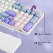RK ROYAL KLUDGE RK96 RGB Limited Ed, 90% 96 Keys Wireless 3-Mode BT5.0/2.4G/USB-C Hot Swappable Mechanical Keyboard w/Wrist Rest, Volume Control, Software, Massive Battery, RK Pale Green Switch