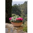 thumbnail image 2 of Rita Crane 23x32 White Modern Wood Framed Wall Art Titled - Italian Garden I, 2 of 5