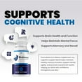 thumbnail image 3 of Braincept Supplement Capsules – Brain Cept Natural Blend Memory Focus, 5 Pack, 300 Capsules, 3 of 6