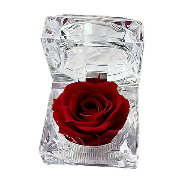 Decoraciones para San Valentín, adornos para San Valentín, regalos para San Valentín, caja de joyería con rosas transparentes, regalo para enamorados, caja de regalo de acrílico con rosas preservadas