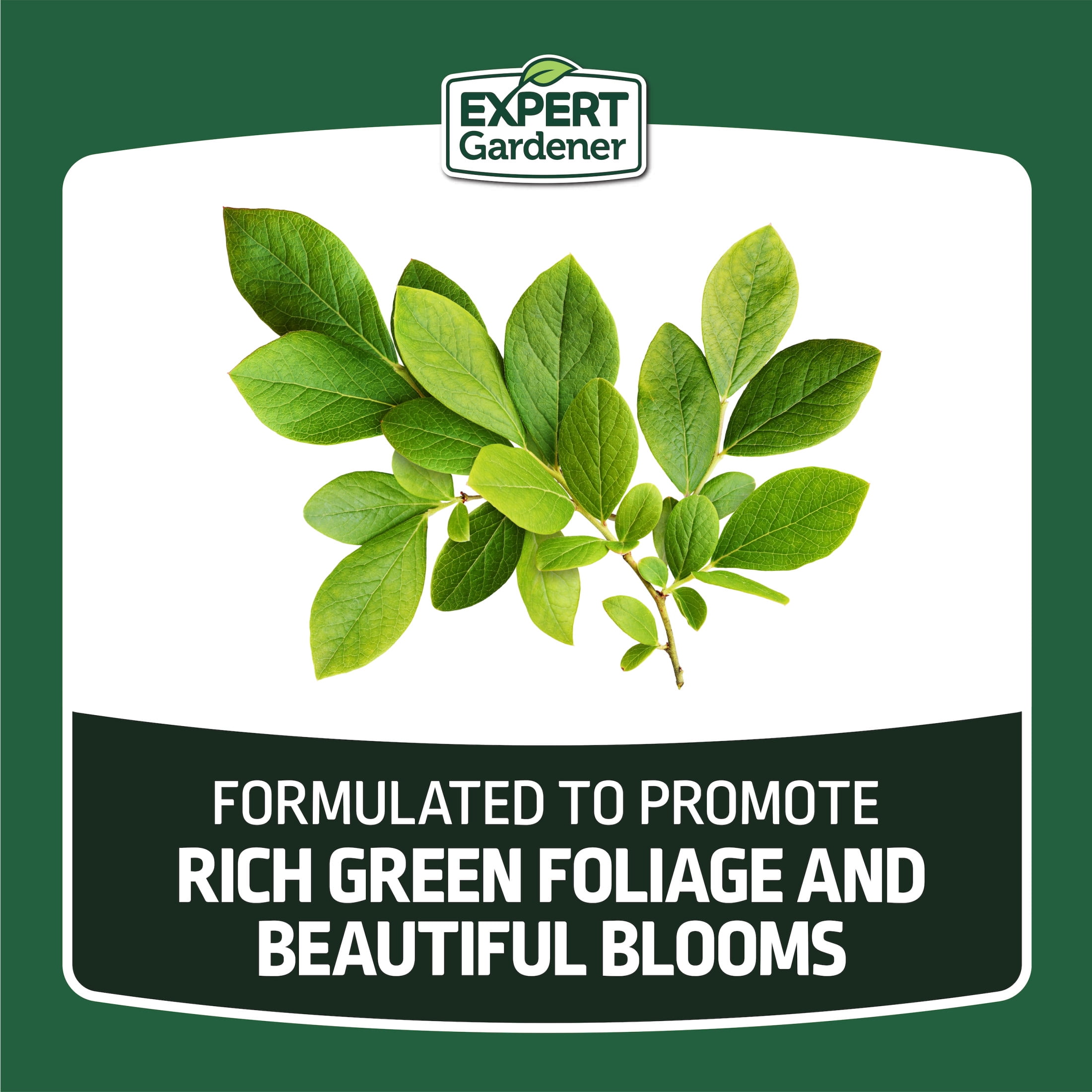 Expert Gardener Evergreen Tree and Shrub Plant Food, 16-4-8 Fertilizer, 4 lb.