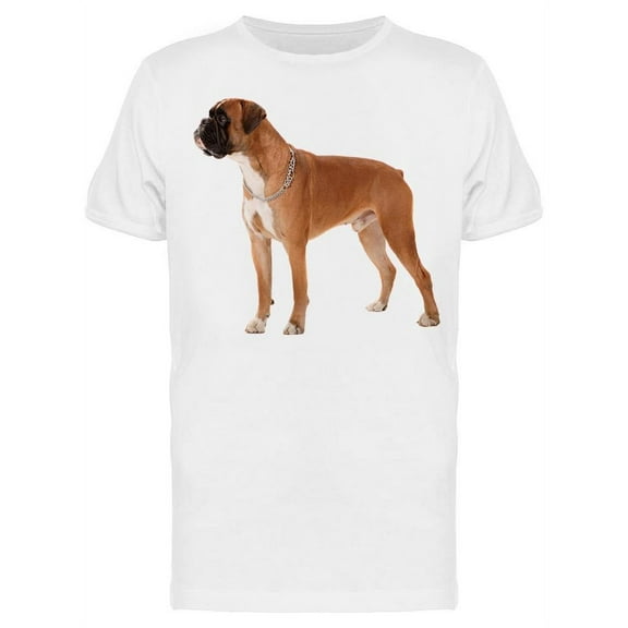 Boxer Dog Is Wating For Photo T-Shirt Men -Image by Shutterstock, Male Large