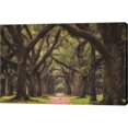 thumbnail image 1 of Great Art Now Lane of Oaks by Martin Podt, Canvas Wall Art, 45W x 30H, 1 of 2