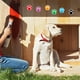 thumbnail image 5 of Whataatahia Pegatinas de Pata de Perro, un Rollo de 500 Piezas, Etiqueta Adhesiva de Pata de Perro, Etiqueta clásica para Nevera, Guitarra, Coche, portátil, 5 of 5