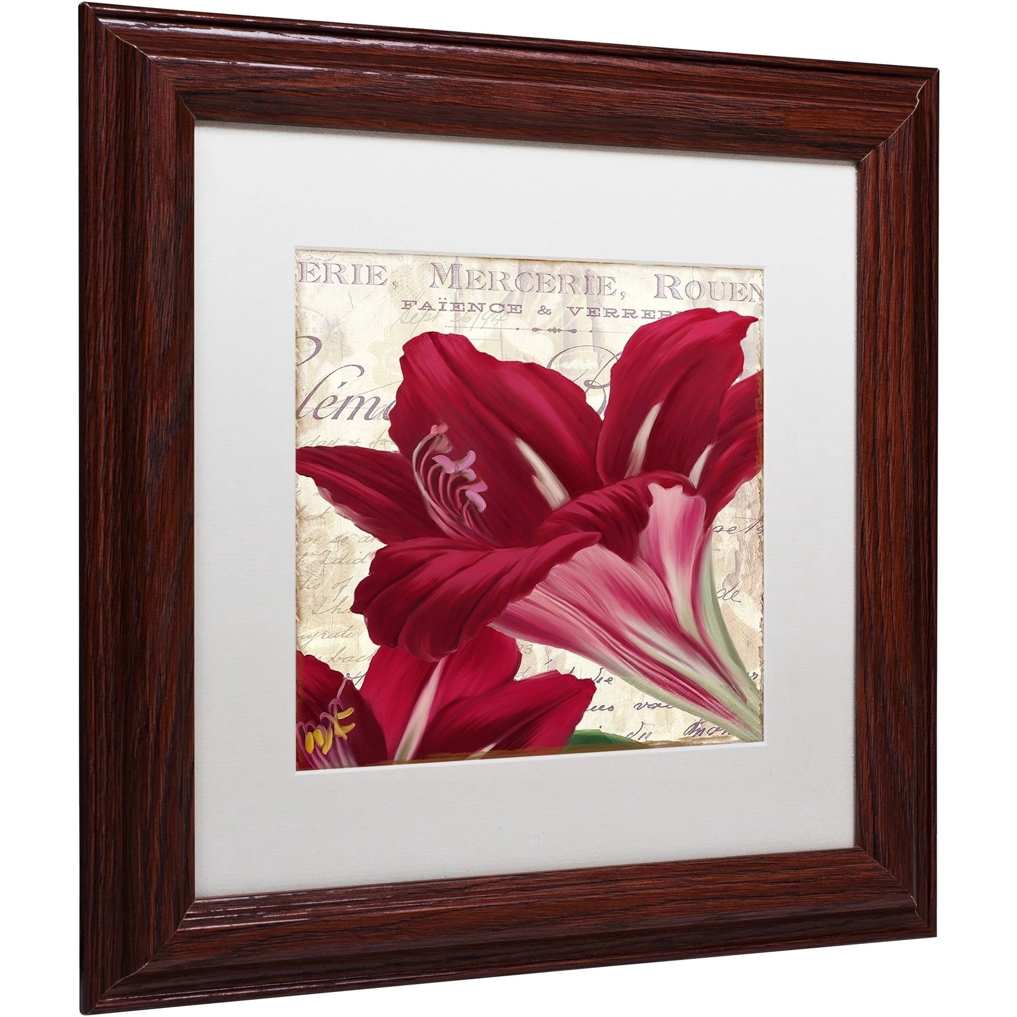 Trademark Fine Art "Amaryllis " Canvas Art by Color Bakery White Matte, Wood Frame