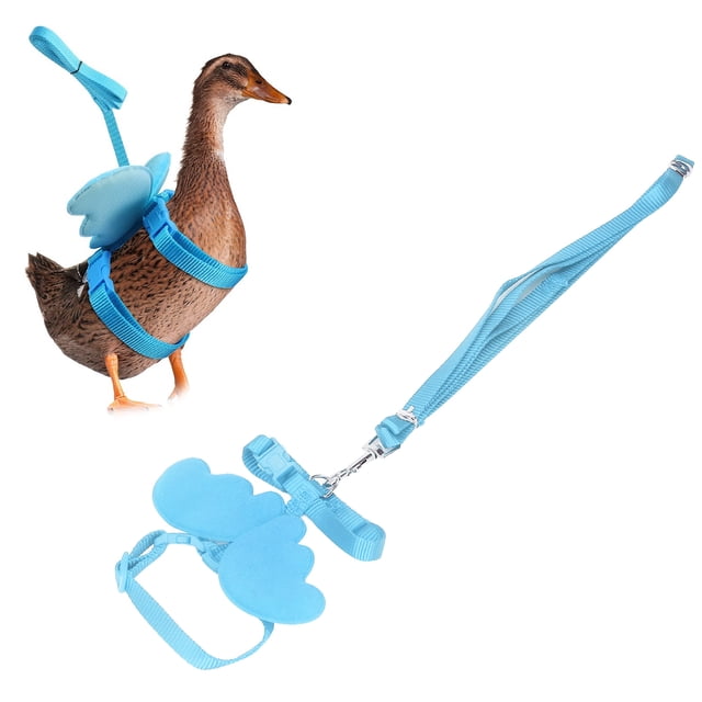 Correa De Arnés De Pato, Arnés De Entrenamiento De Pollo, Alas Resistentes En Forma De Color Brillante Para Mascotas Pequeñas Para Caminar Al Aire Libre