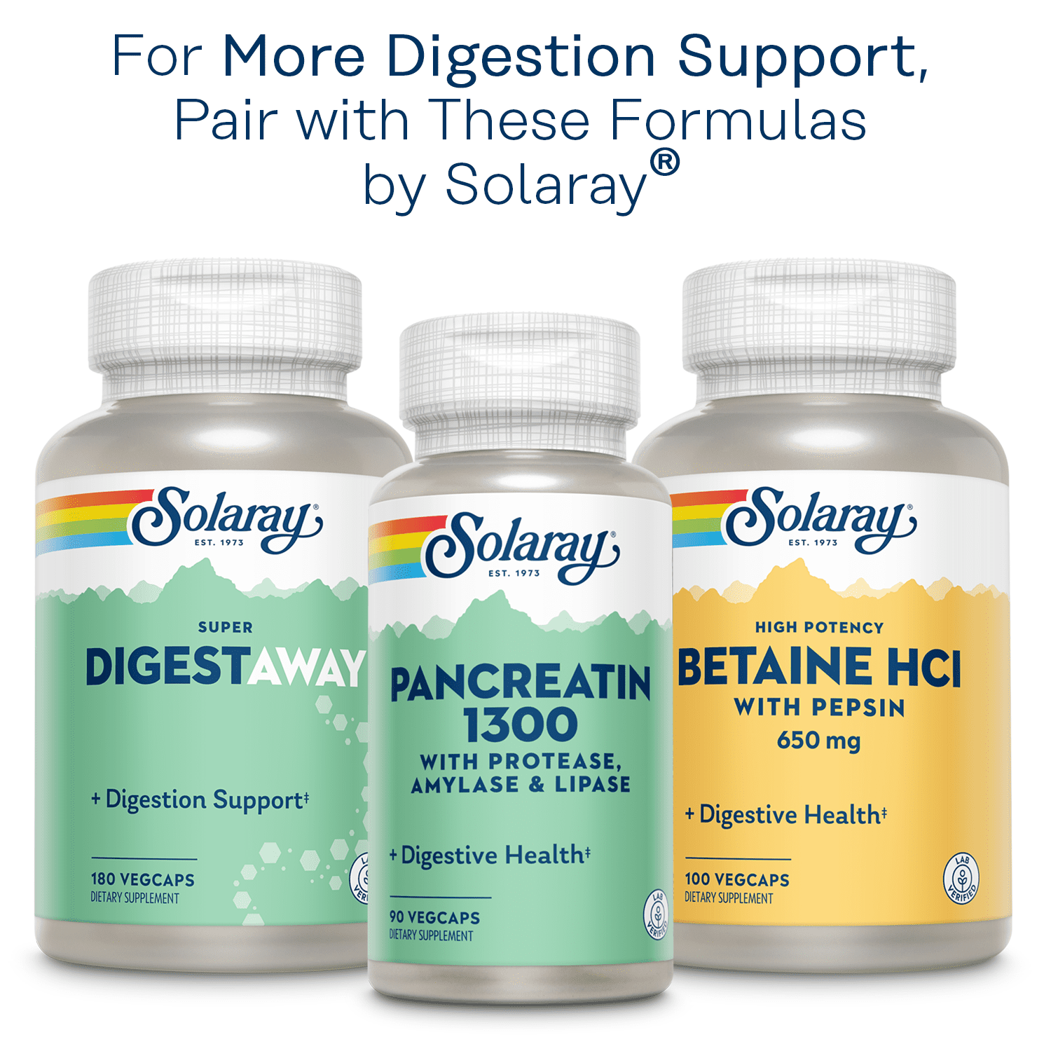 Solaray Mastic Gum Extract | Healthy Gastrointestinal and Digestive Function Support | 1000 Mg | 45 VegCaps, 22 Servings