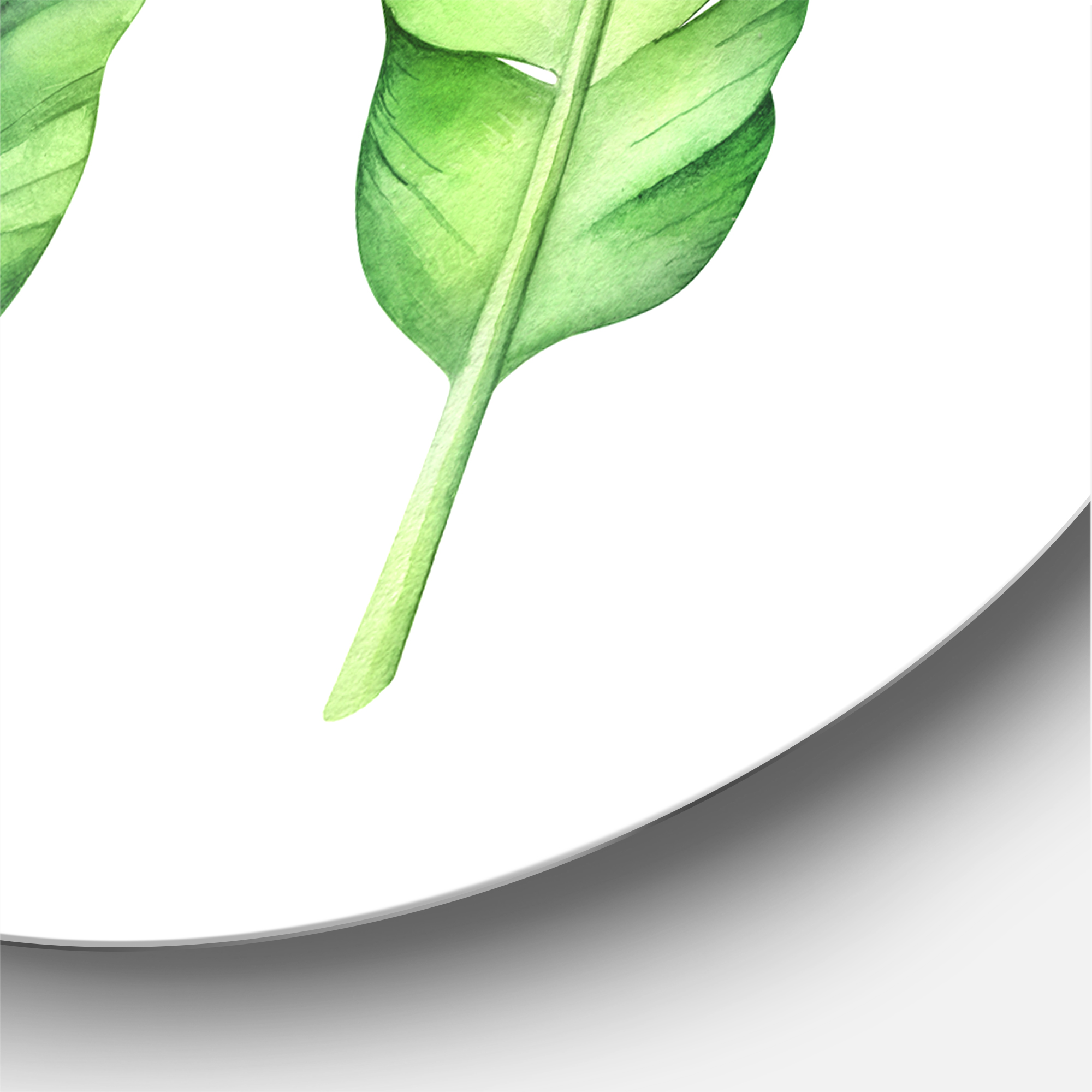 Designart 'Tropical Banana Leaves Set On White' Farmhouse Circle Metal Wall Art 23x23 - Disc of 23