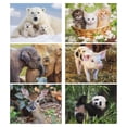 thumbnail image 3 of Current 2027 Baby Animals Wall Calendar, 12-Inch x 9-Inch Size Closed, 18-Inch Size Open, Large Bookstore-Quality, Spiral-Bound Hanging Monthly Wall Calendars for Kitchen & Office, 3 of 9