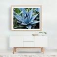 thumbnail image 4 of Delicate Agave Botanical Rustic Photorealism 2x - Digital Art Botanical Cactus Nature Garden Floral Oak Framed Wall Art Print 16 x 20 inches, 4 of 5