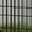 Gray#8, variant on Pet Playpen PawHut 2 Levels Outdoor Rabbit Hutch with Openable Top, 59" Wooden Large Rabbit Cage with Run Weatherproof Roof, Removable Tray, Ramp, Yellow,Guinea Pig Cage