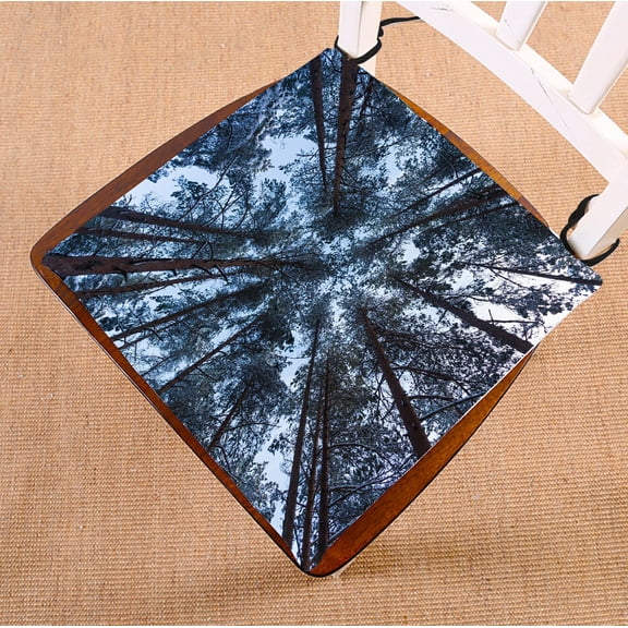 PHFZK Landscape Nature Scenery Chair Pad, Spruce Tree Forest against Blue Sky Seat Cushion Chair Cushion Floor Cushion Two Sides Size 16x16 inches