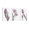 thumbnail image 1 of Cuadro Decorativo Tríptico Vertical Tulipanes Acuarelas Canvas Revolution Set De 3 Cuadros 25x38 cm, 1 of 5